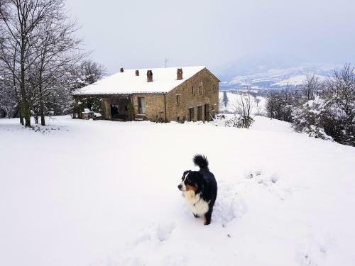 Terraluna - Room & Breakfast - San Leo