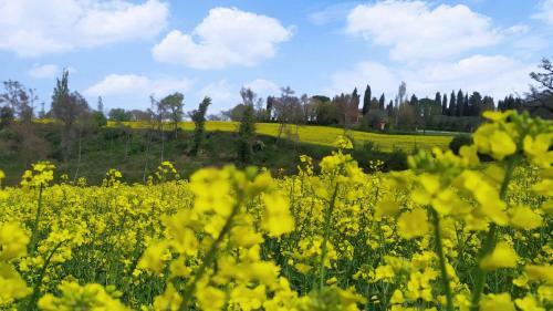 Rosmarino B&B