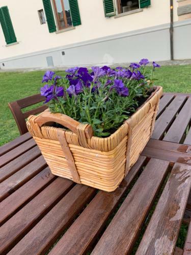 Apartamento Villa Prima