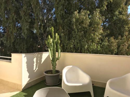 Apartamentos Do�a Carmen