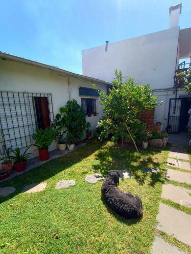 Apartamento Rolfi Y Fido
