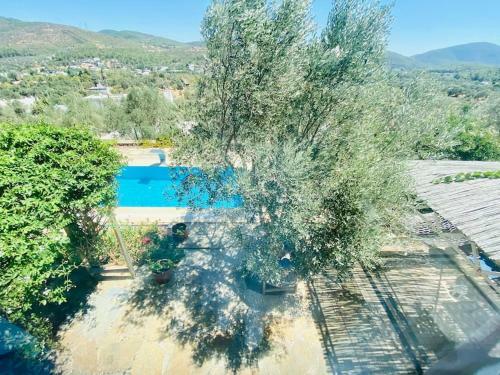 Artistic & Luxurious Villa Yasmincita