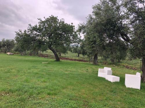 Agroturismo Tenuta de Luca