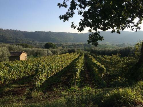 Villa Podere Campo Del Piano