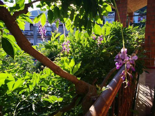 Bed & Breakfast Zia Chiarina