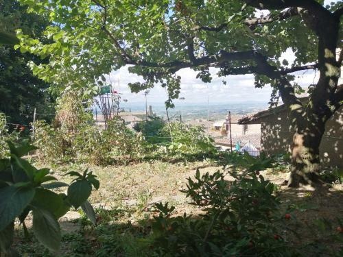 Apartamento Orto Di Emma