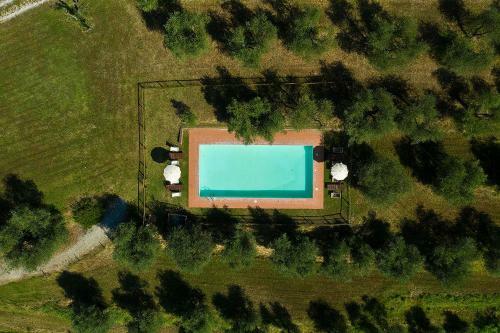 Villa Podere L'ulivo