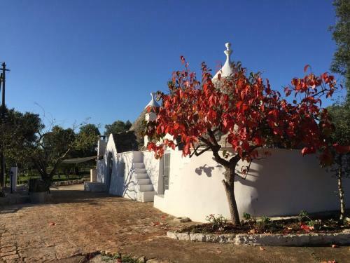 Chateaux Des Trulli