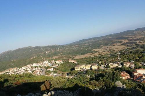 Ginestra 23