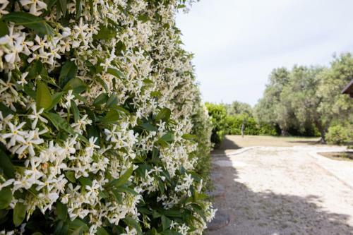Villa Trullo Degli Ulivi