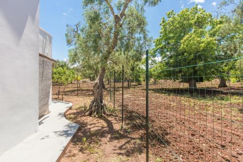 Villa Trullo Pioppo Gigante