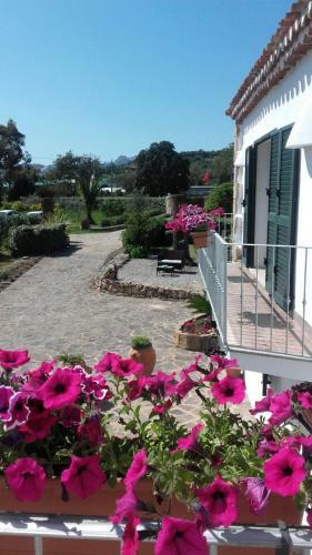 Bed & Breakfast B & B Gli Oleandri