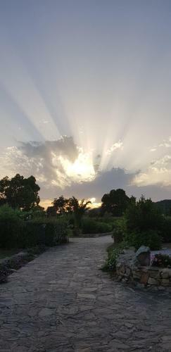Bed & Breakfast B & B Gli Oleandri