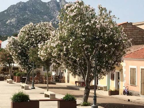 Place San Pantal�o : Jolie Maison Sarde Authentique