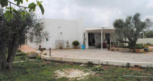 Bed & Breakfast Microborgopasca