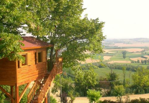 Casa Sull'albero Aromantica