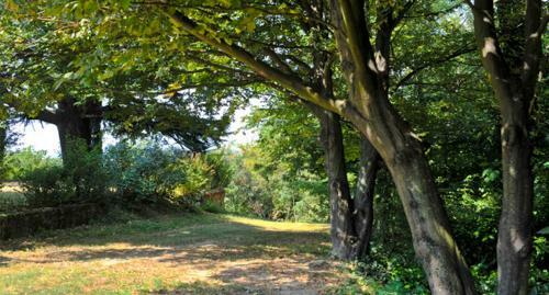 Casa Sull'albero Aromantica