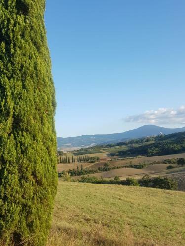 Bed & Breakfast Palazzetto Del Pittore