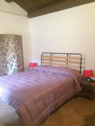 Bed & Breakfast Il Pino Marittimo