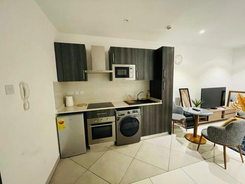 Deluxe Luxury Apartment