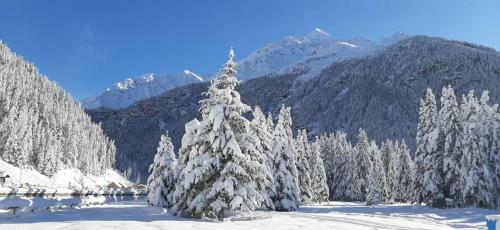 Apartamento Casa Vacanze Michela