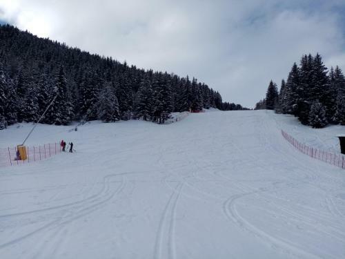 Apartamento Comodo Alloggio Con Accesso Diretto Alle Piste