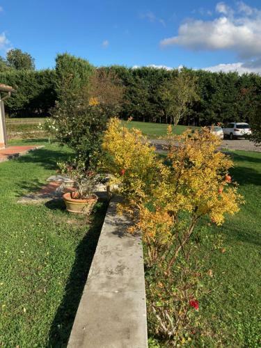 Bed & Breakfast Walkandrace