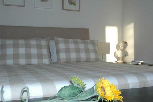 Apartamento Alimede Ecodimora