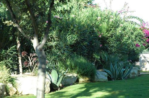 Apartamento Alimede Ecodimora