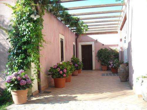 Agroturismo Agriturismo Villa Luca