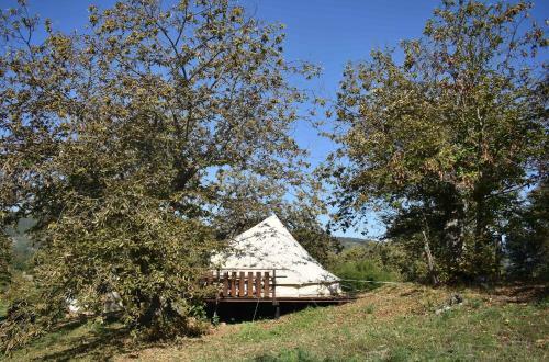 Podere Di Maggio - Glamping Tent 2