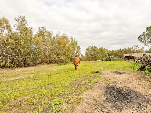 Rustic Villa In Santa Giusta With Garden