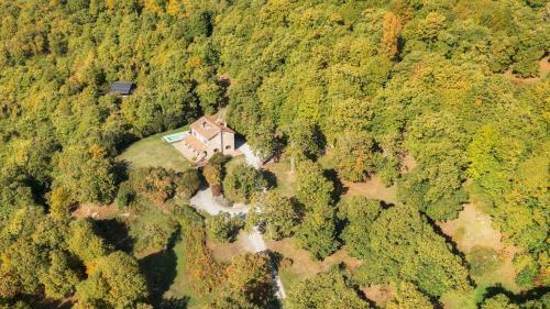 Villa Casale Del Castagneto 8