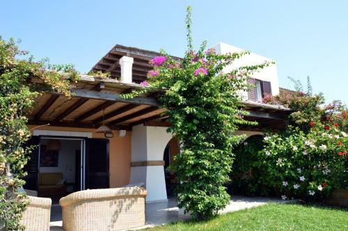 Villa 19