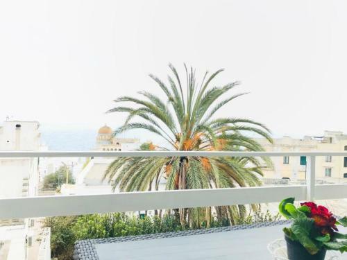 Apartamento Casa Bellavista Tra Mare E Terme