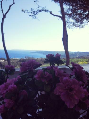 Apartamento Bilocali Vista Mare