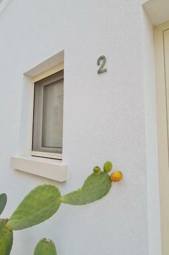 Apartamento Locazione Turistica La Chicca