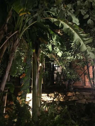 Il Giardino Romantico