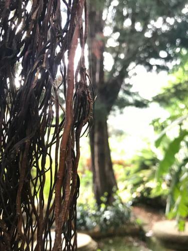 Il Giardino Romantico