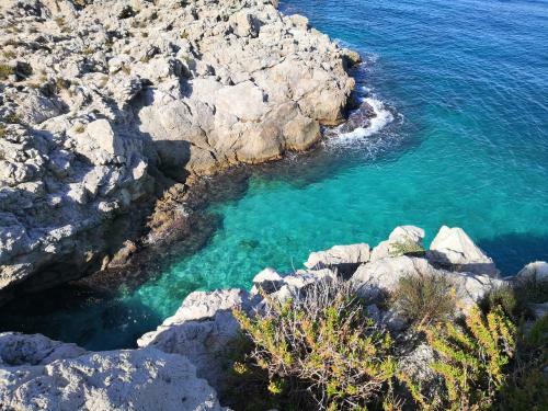 Villa Flavia Eco B&B Con Piscina - 50 Metri Dal Mare
