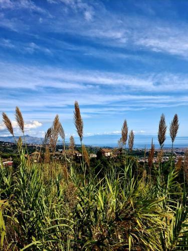 Villa Panoramica Dell'etna