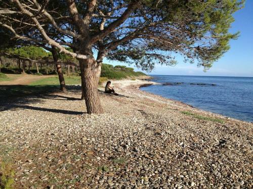 Apartamento A Due Passi Dalla Spiaggia