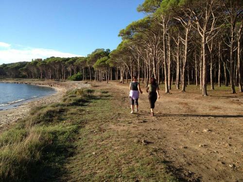 Apartamento A Due Passi Dalla Spiaggia