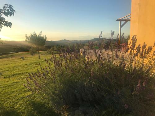 Tuscan Farmhouse