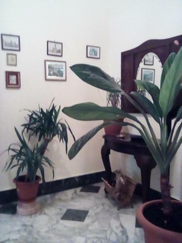 Hostal Le Stanze Di Ginevra - Santa Maria A Vico