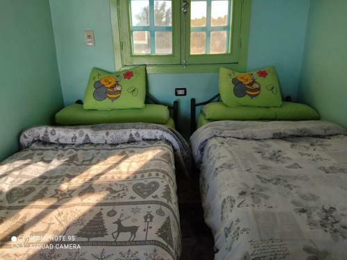 Bed & Breakfast Nubian Paradise
