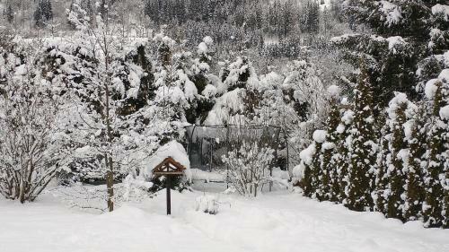 Apartment-alpenfantasie