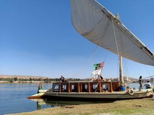 Jj Jamaica Felucca