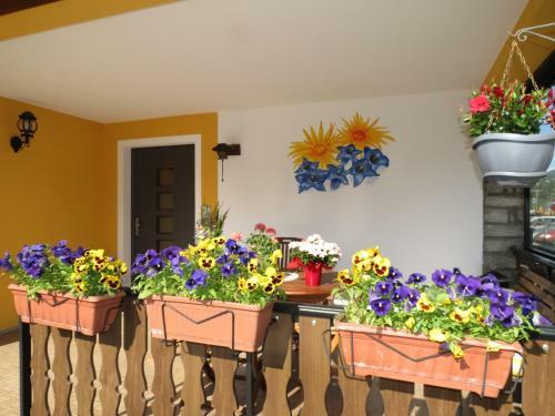 B&B Lepontino