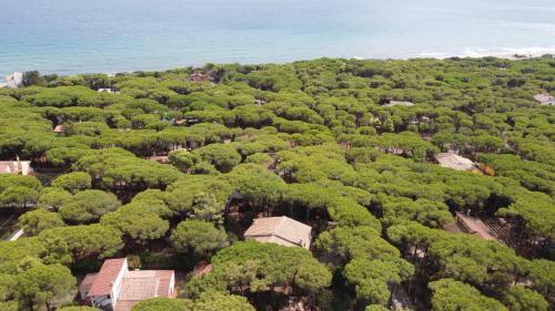Villa Rosanna